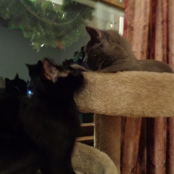 Welcome to my Large eclectic closet - Picture 8 of 10